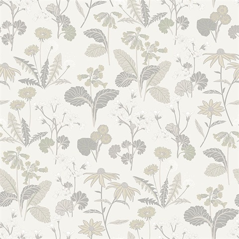 Magdalena Light Grey Dandelion Wallpaper