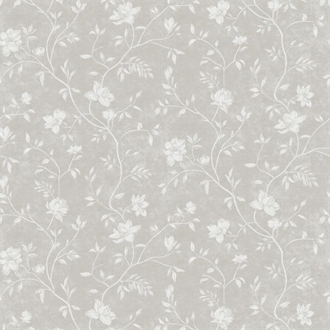 Magnolia Spring Blossom Wallpaper