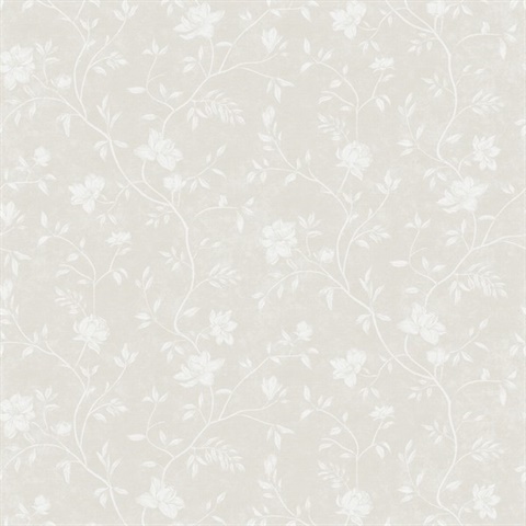 Magnolia Spring Blossom Wallpaper