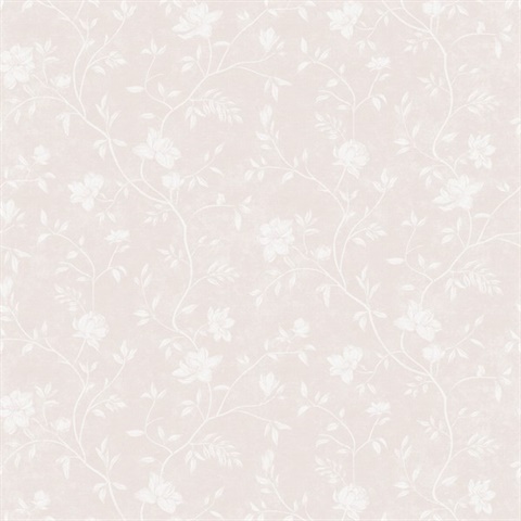 Magnolia Spring Blossom Wallpaper