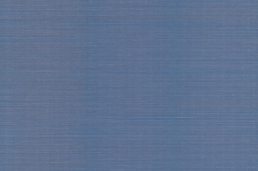 Maguey Sisal Bluebell Wallpaper