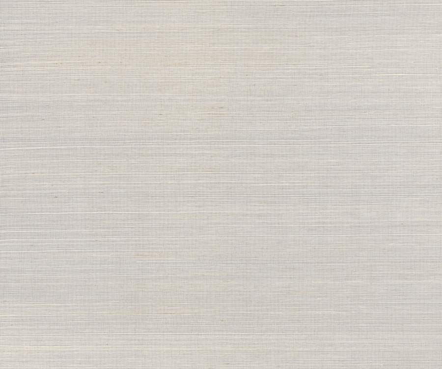 Maguey Sisal Cloudy Wallpaper