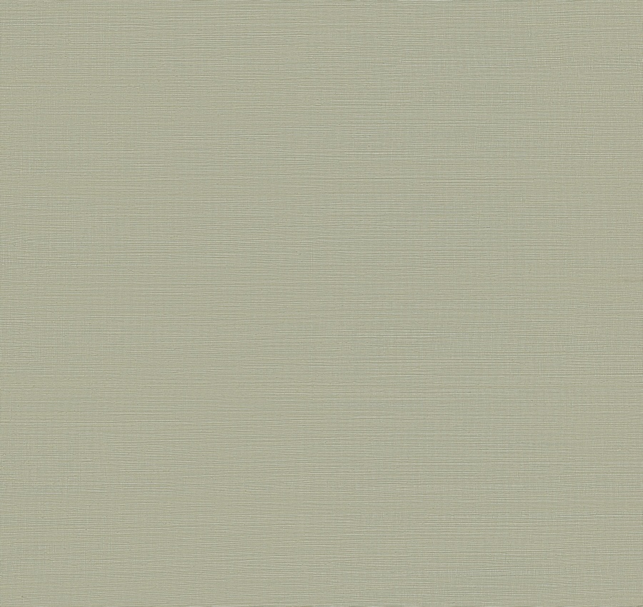 Maguey Sisal Putty Wallpaper