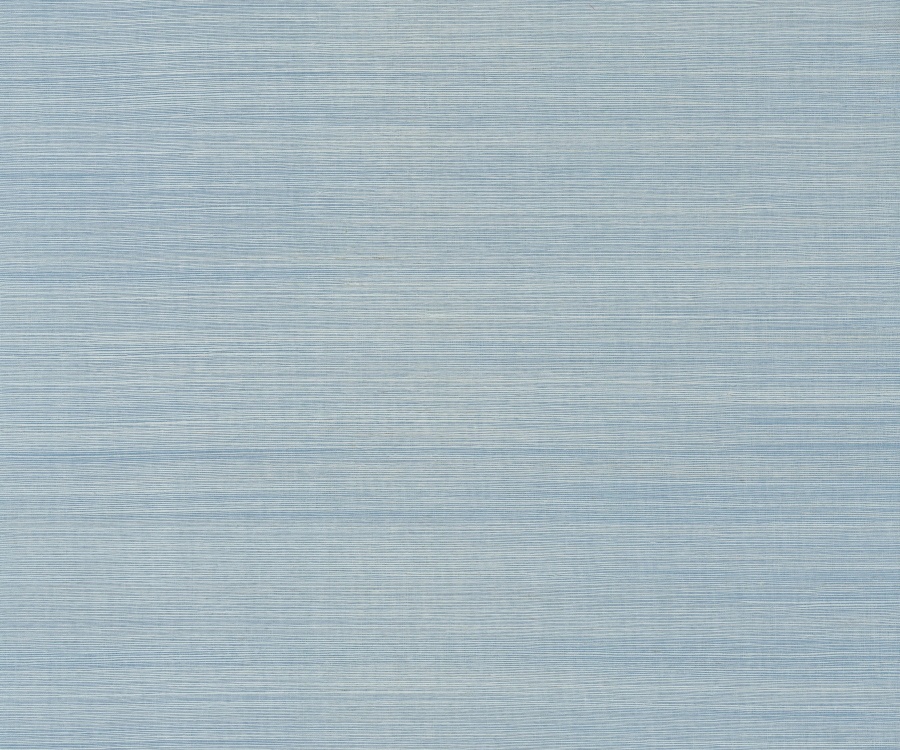 Maguey Sisal Sky Wallpaper