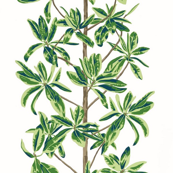 Mangrove Tree Green and White Wallpaper