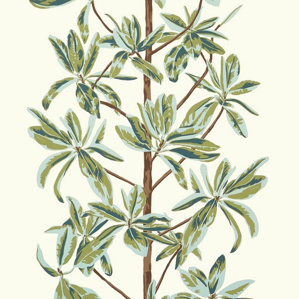 Mangrove Tree Sage Wallpaper