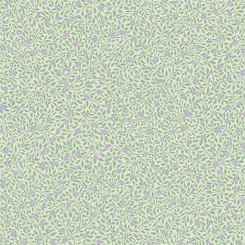 Marguerite Periwinkle Floral Wallpaper