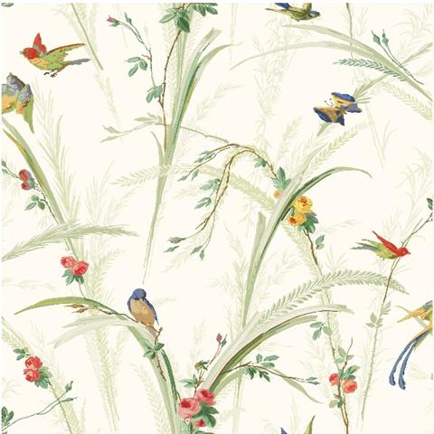 White Meadowlark