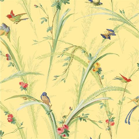 Yellow Meadowlark