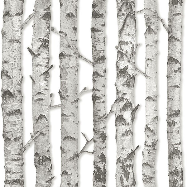 Merman Light Grey Birch Tree Wallpaper