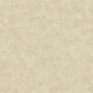 Metallic Plaster Wallpaper