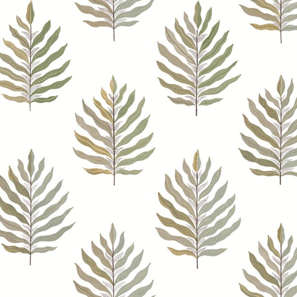 Miramar Desert Palm Wallpaper