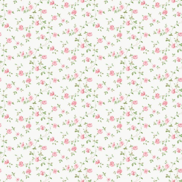 Modern Rose Trail Wallpaper