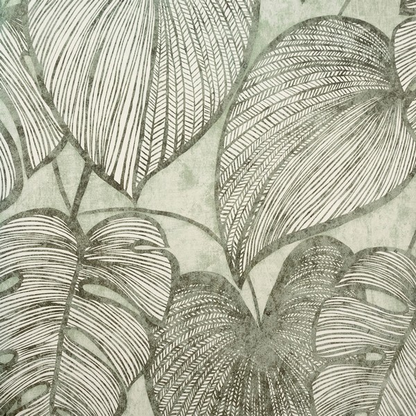 Monstera