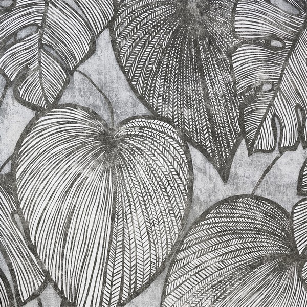 Monstera