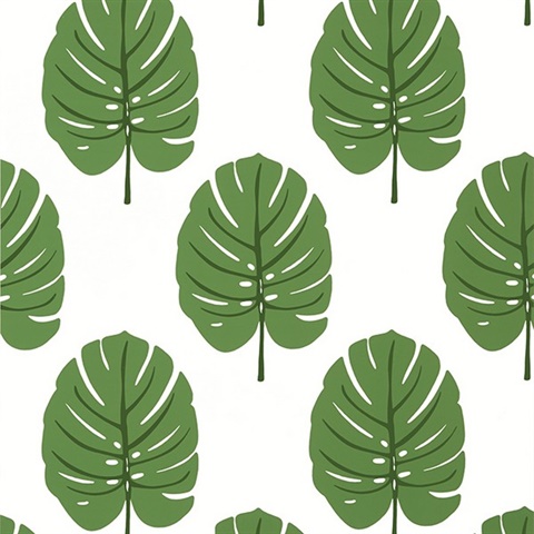 Monstera Wallpaper