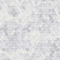 Mosaic Tiles
