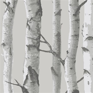 Mountain Birch Grey Peel & Stick Wallpaper