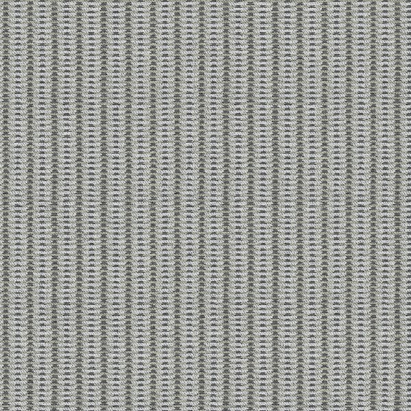 Mozart Charcoal Wallpaper