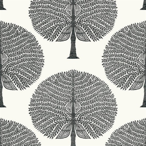 Mulberry Tree