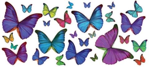 Multi-Colored Butterflies