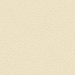 Nadie Camel Wallpaper