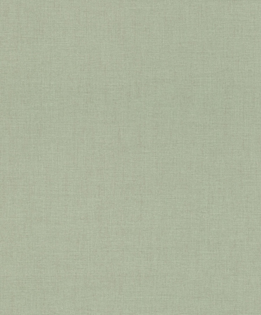 Naim Sage Solid Texture Wallpaper