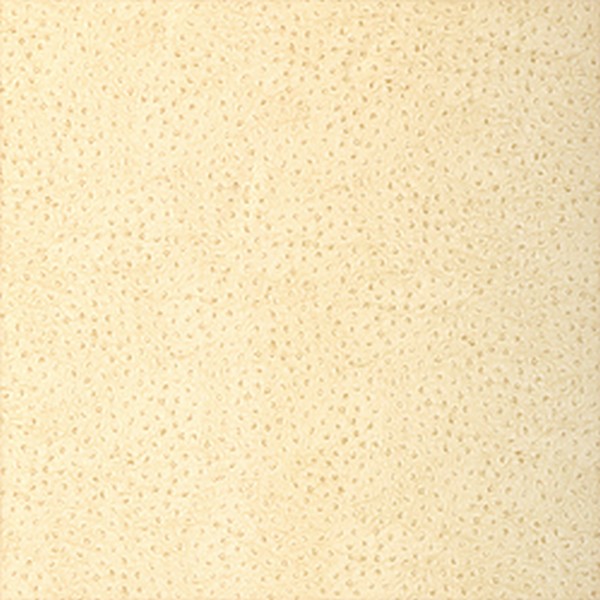 Natural Ostrich Wallpaper