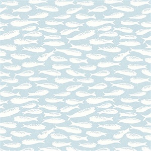 Nunkie Aqua Sardine Wallpaper