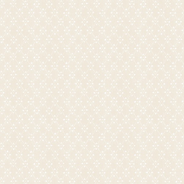 Paisley Print Wallpaper