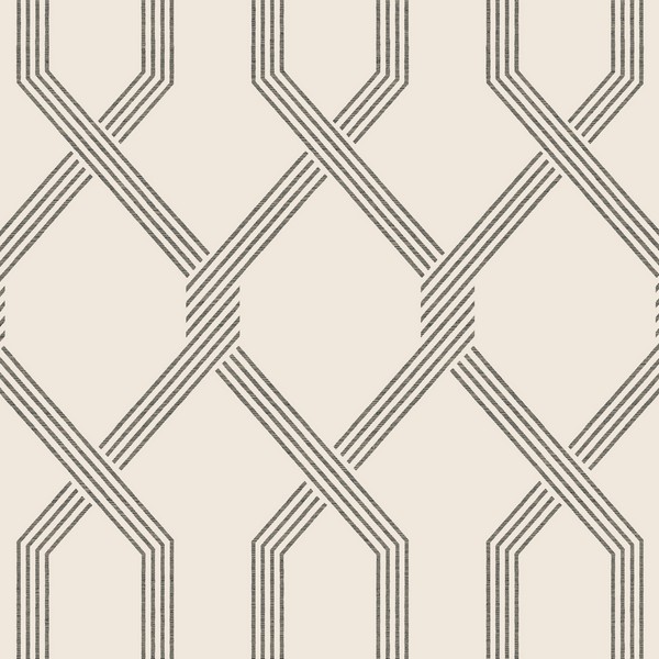 Palisade Black Wallpaper