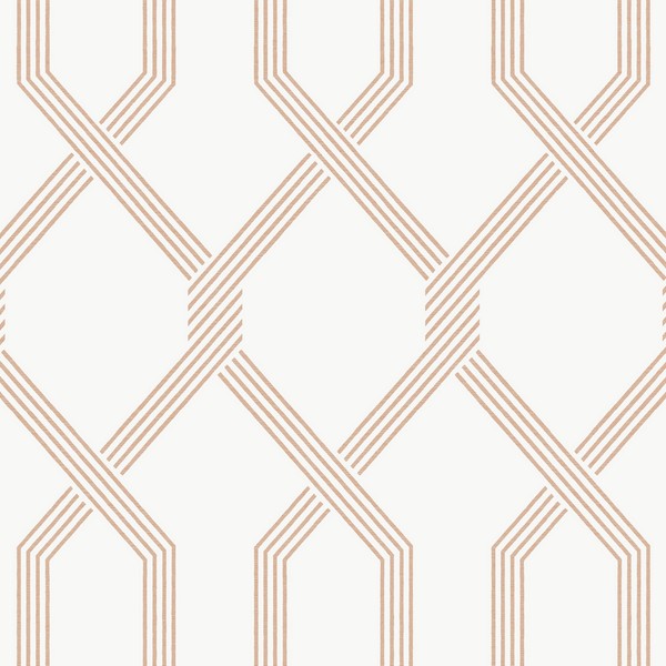 Palisade Coral Wallpaper