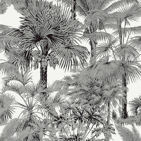 Palm Botanical