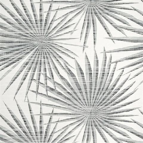 Palm From