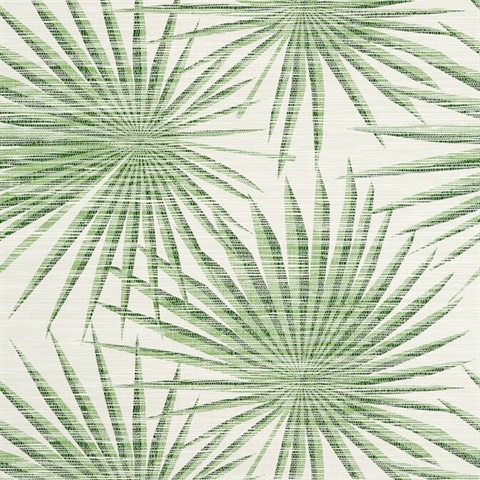 Palm From