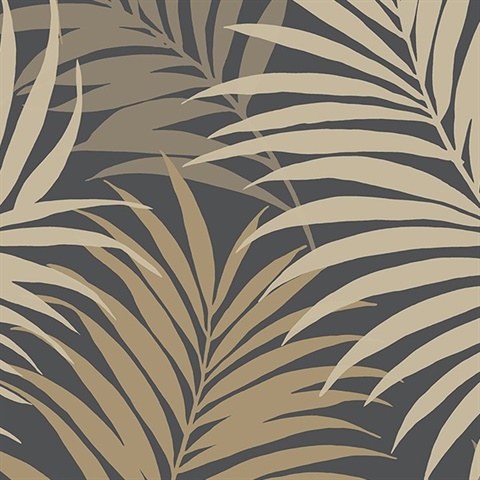 Palm