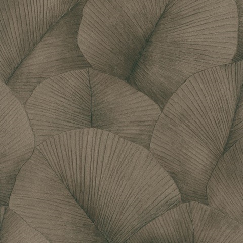 Palm Leaf