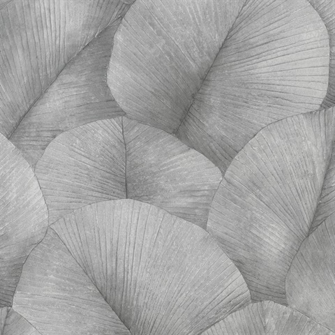 Palm Leaf