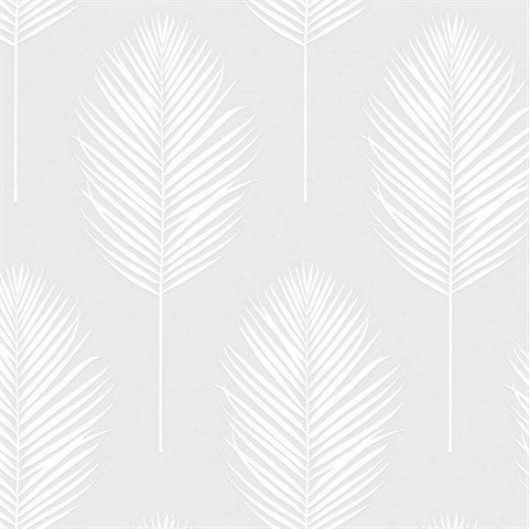 Palm Leaf