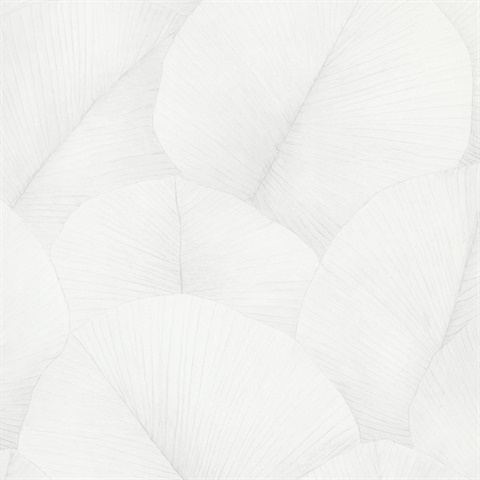 Palm Leaf