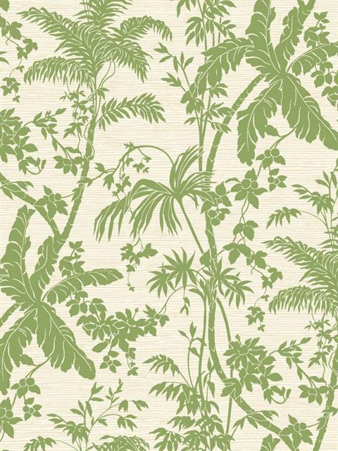 Tropics Palm Shadow Wallpaper