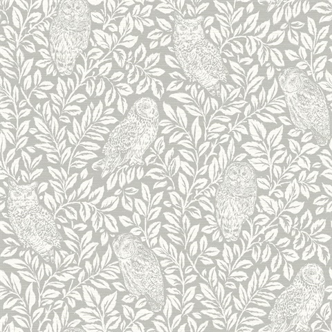 Parliament Grey Owl Wallpaper