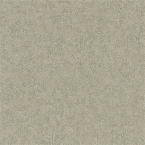 Plaster