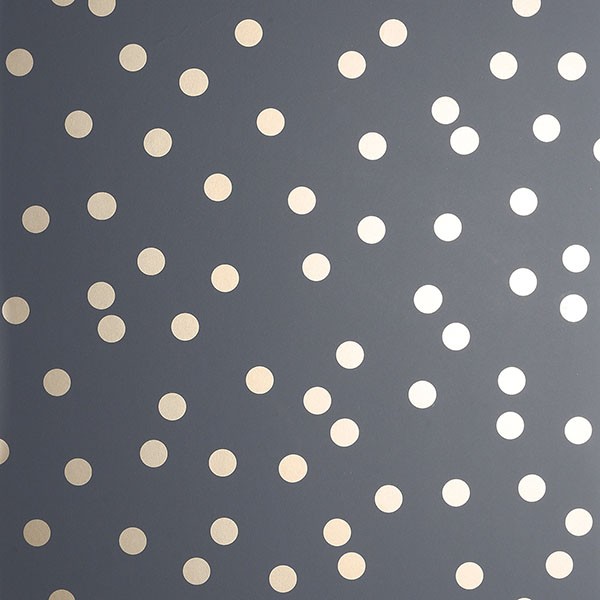Priscella Charcoal Polka Dot Wallpaper