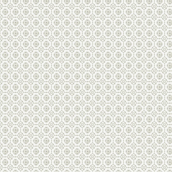 Priti Grey Wallpaper