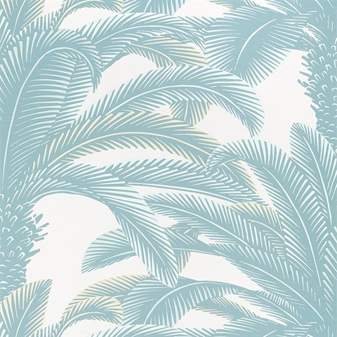 Queen Palm Wallpaper