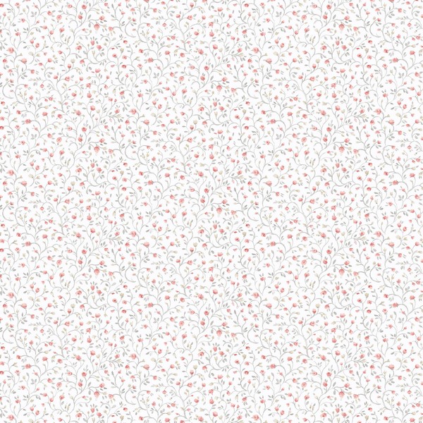 Rainbow Mini Wallpaper