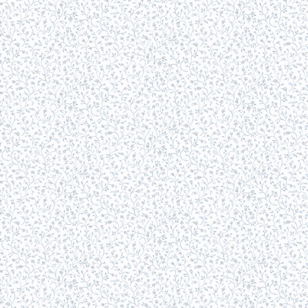 Rainbow Mini Wallpaper