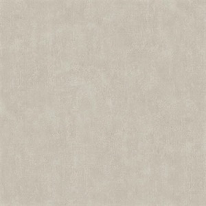Riomar Taupe Distressed Texture Wallpaper