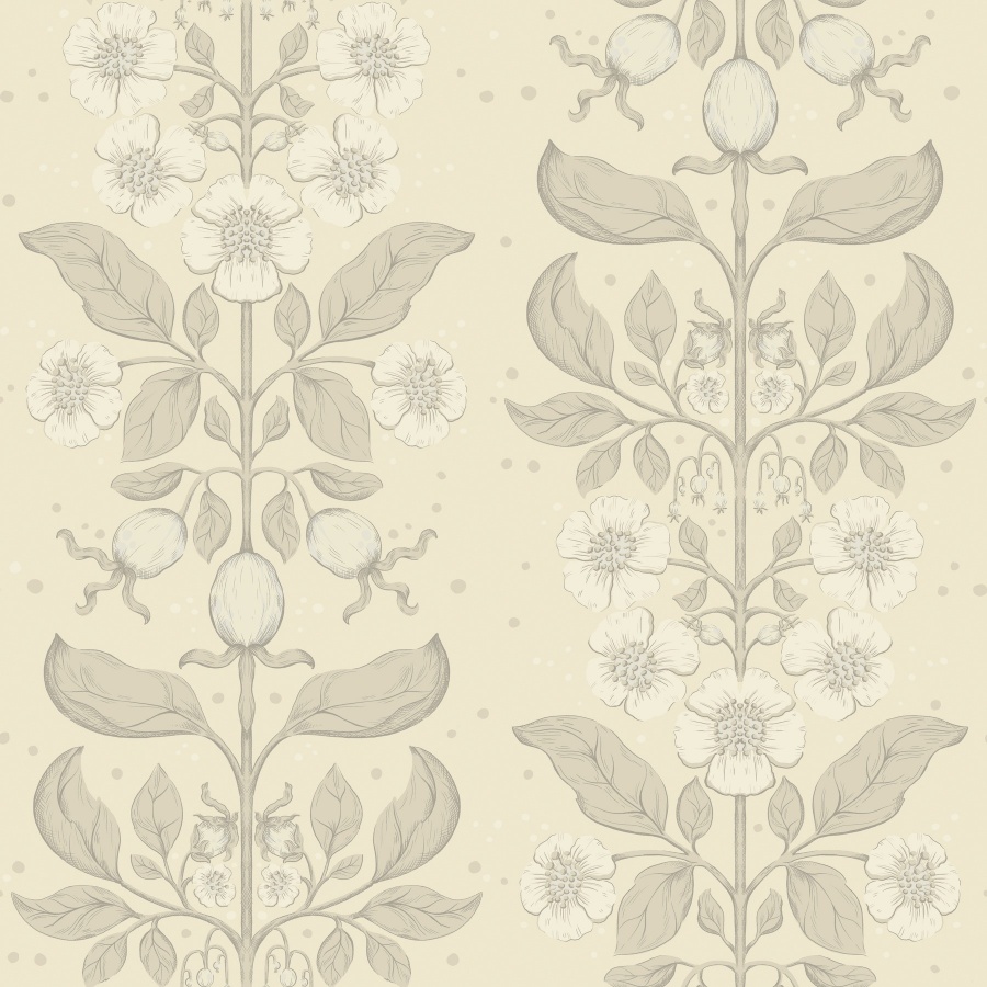 Rosa Cream Wallpaper